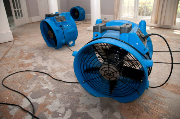 Best Commercial water damage restoration  in Oill, NE