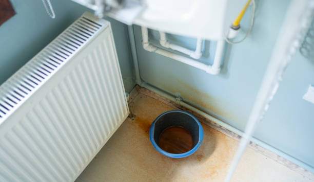 Best Mold removal after water damage  in Oill, NE