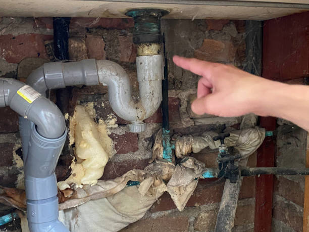 Best Water damage cleanup near me  in Oill, NE